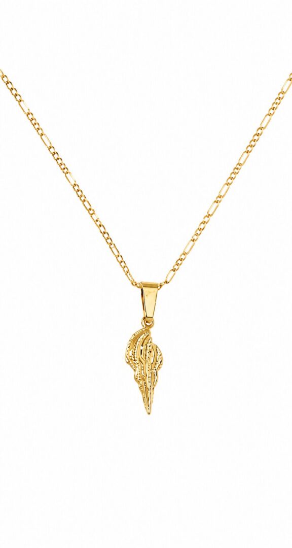 Florida conch necklace 22''