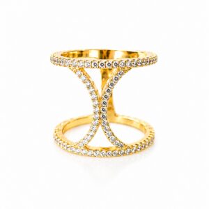 Big and elegant ring