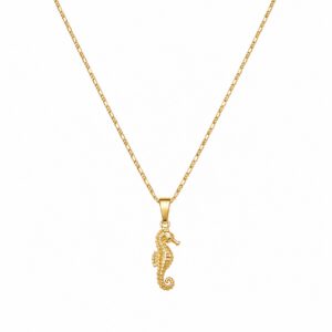 Sea horse necklace 22''