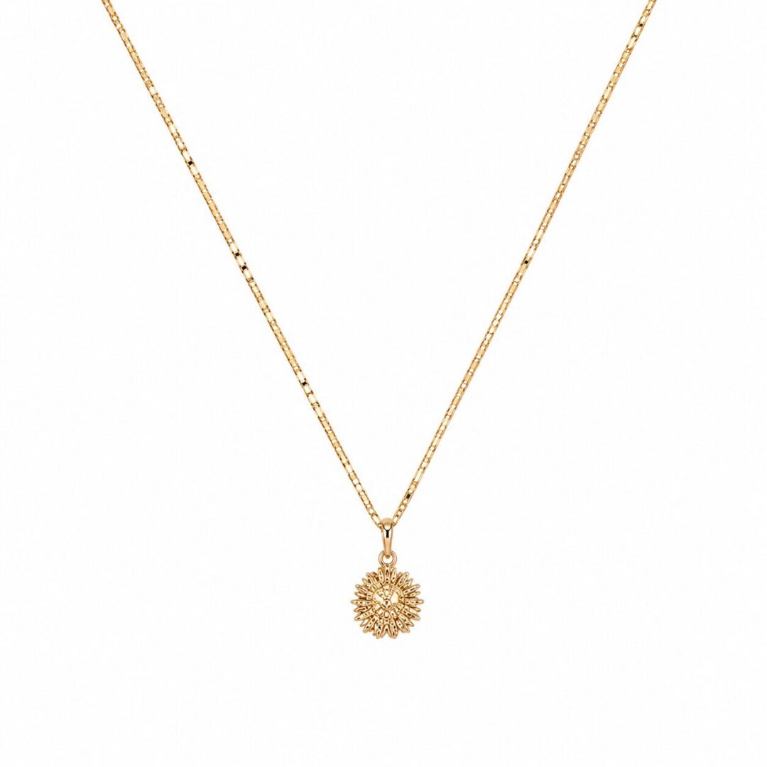 Sea conch necklace 22''
